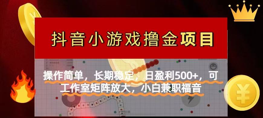(14290期)【抖音小游戏发行人计划项目】操作简单,长期稳定,日盈利500+,可工作...-亮剑学堂