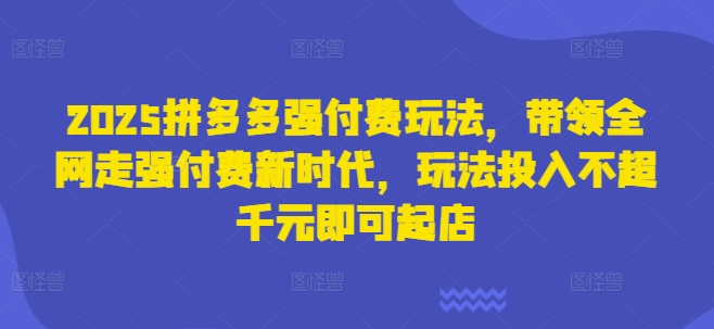 2025拼多多强付费玩法,带领全网走强付费新时代,玩法投入不超千元即可起店-亮剑学堂